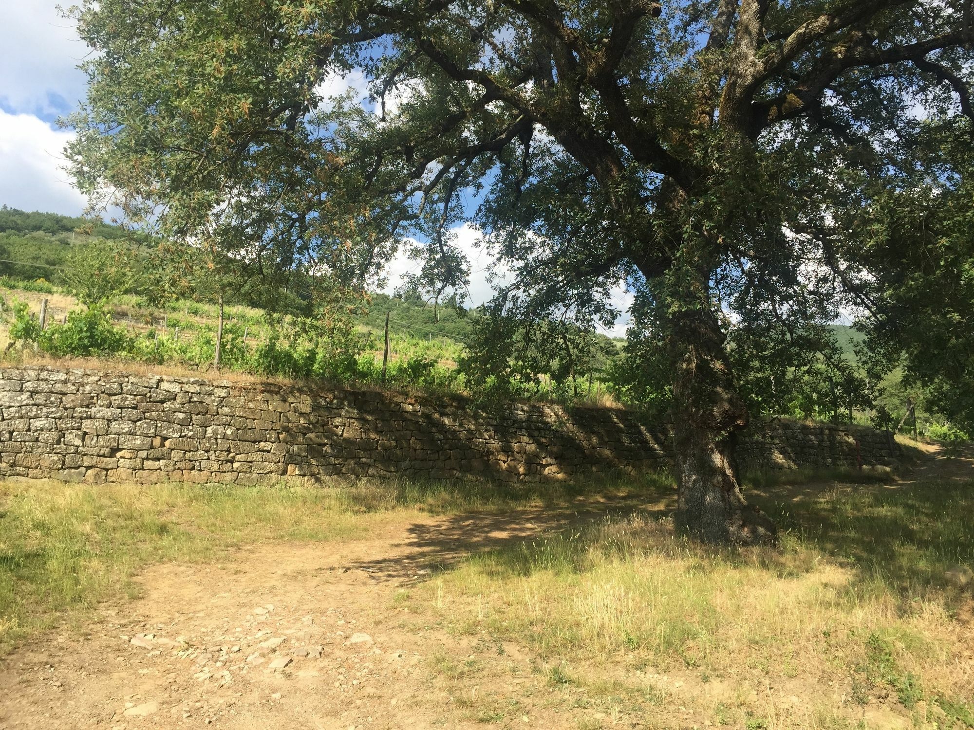 Villa La Grotta San Giustino Valdarno Exterior foto